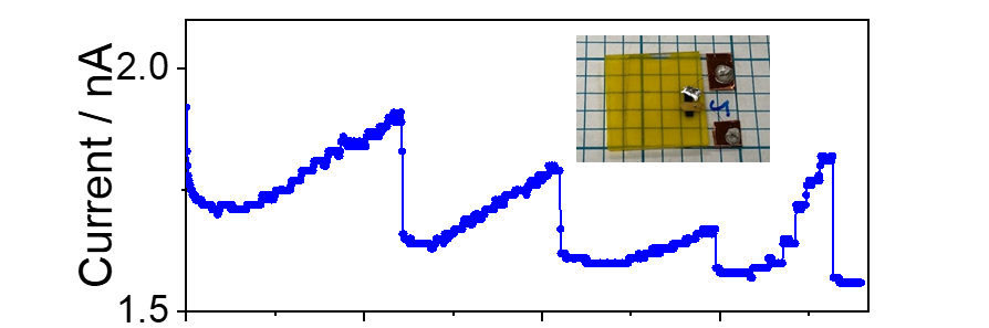 Perovskite detector