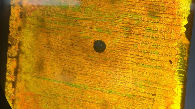 perovskite film under the microscope