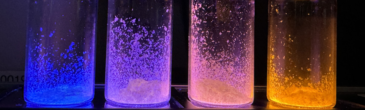 perovskite film under the microscope