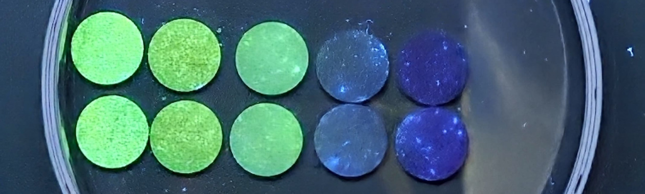 perovskite single nanowire under the microscope